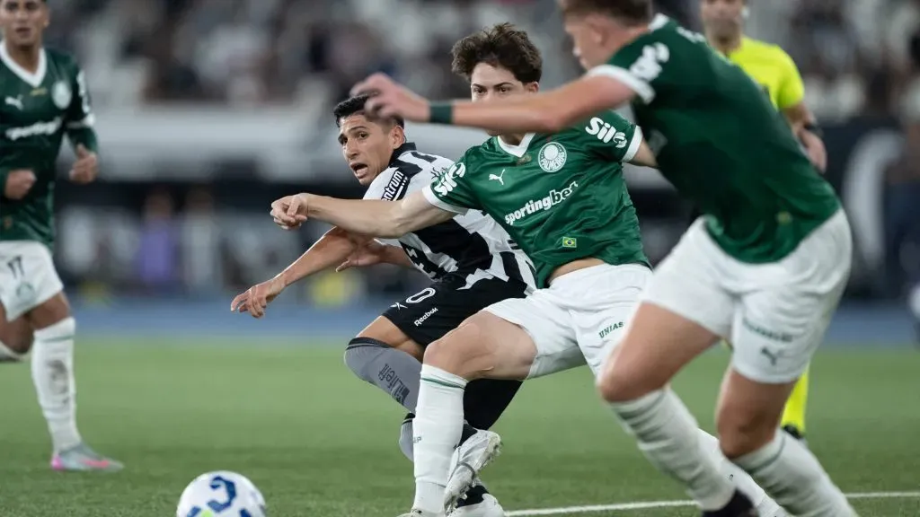 Botafogo x Palmeiras pelo Brasileirão. Foto: Jorge Rodrigues/AGIF