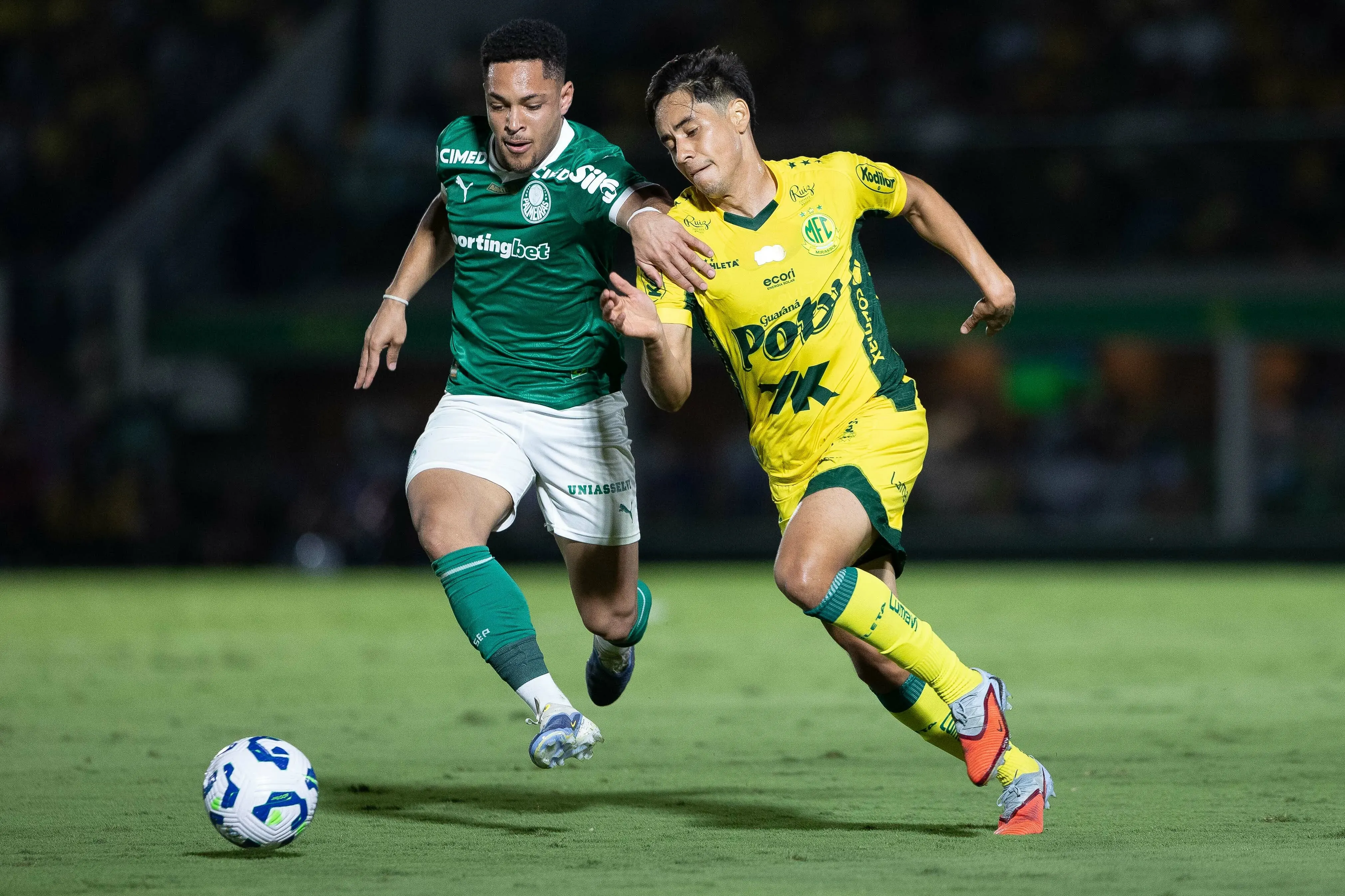 Palmeiras perde para o Mirassol fora de casa. Foto: Joisel Amaral/AGIF