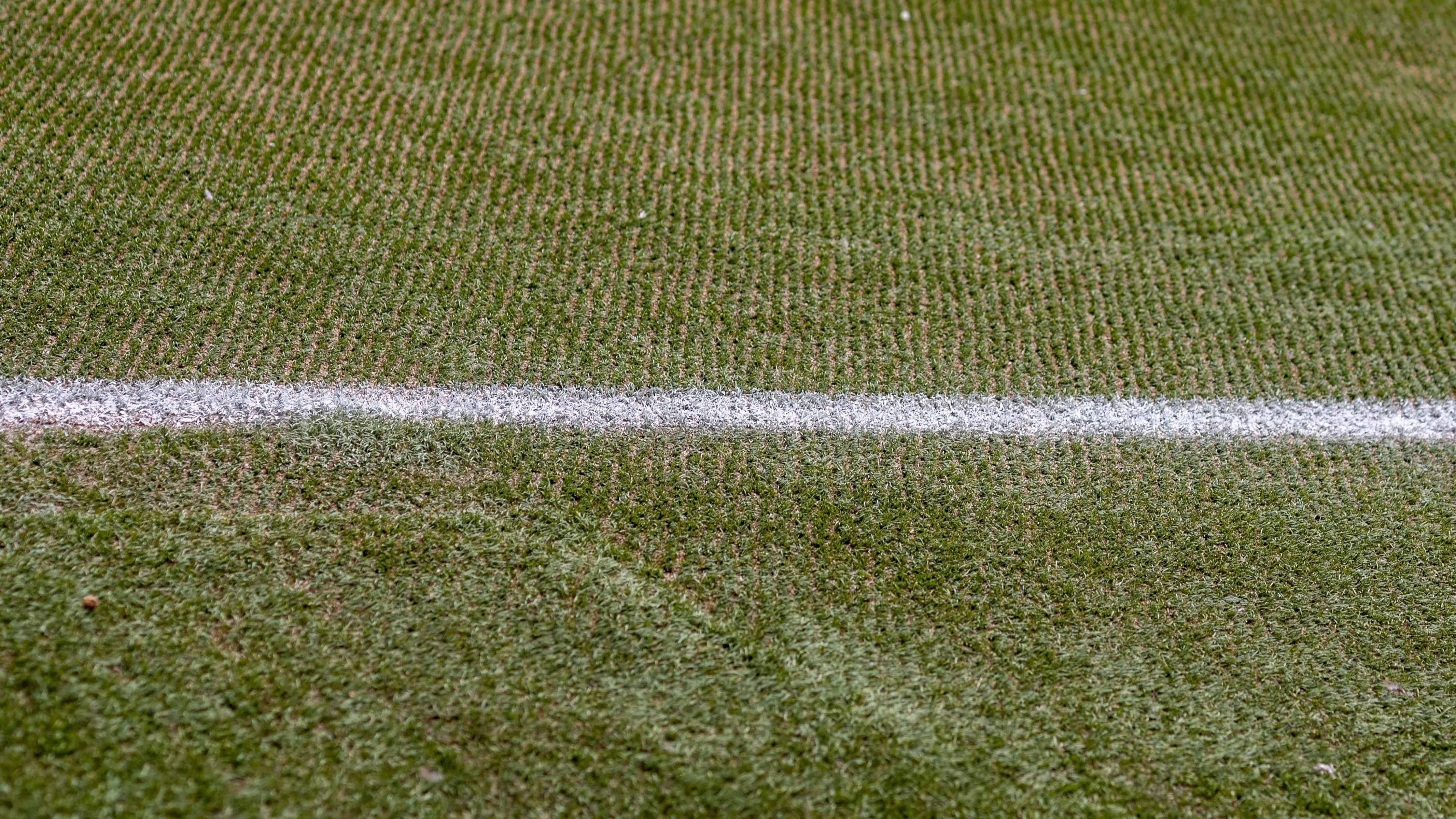 Gramado artificial do Allianz Parque. Foto: Anderson Romão/AGIF