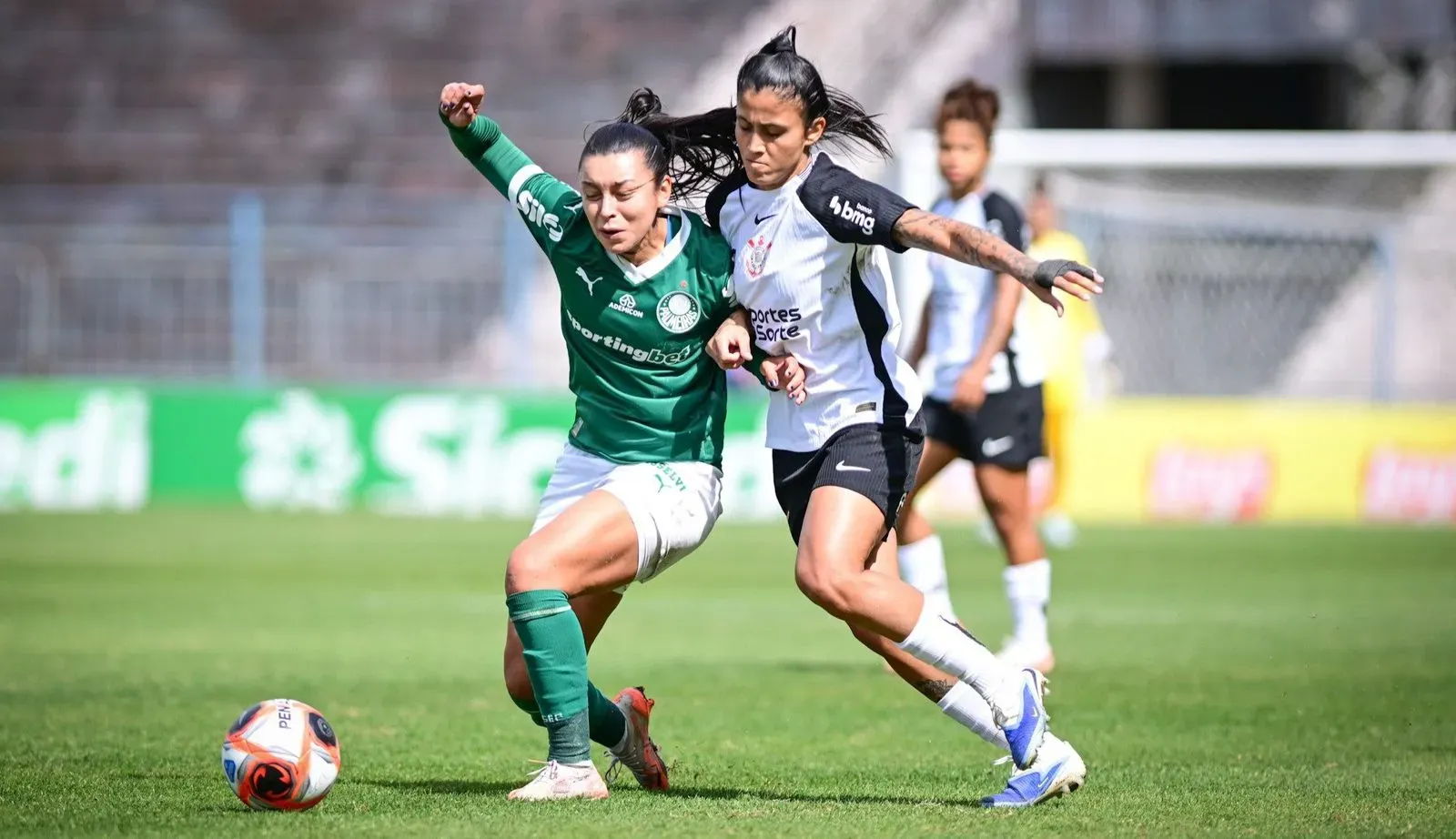 Clássico Dérbi pelo Paulistão. Foto: Divulgação/Palmeiras