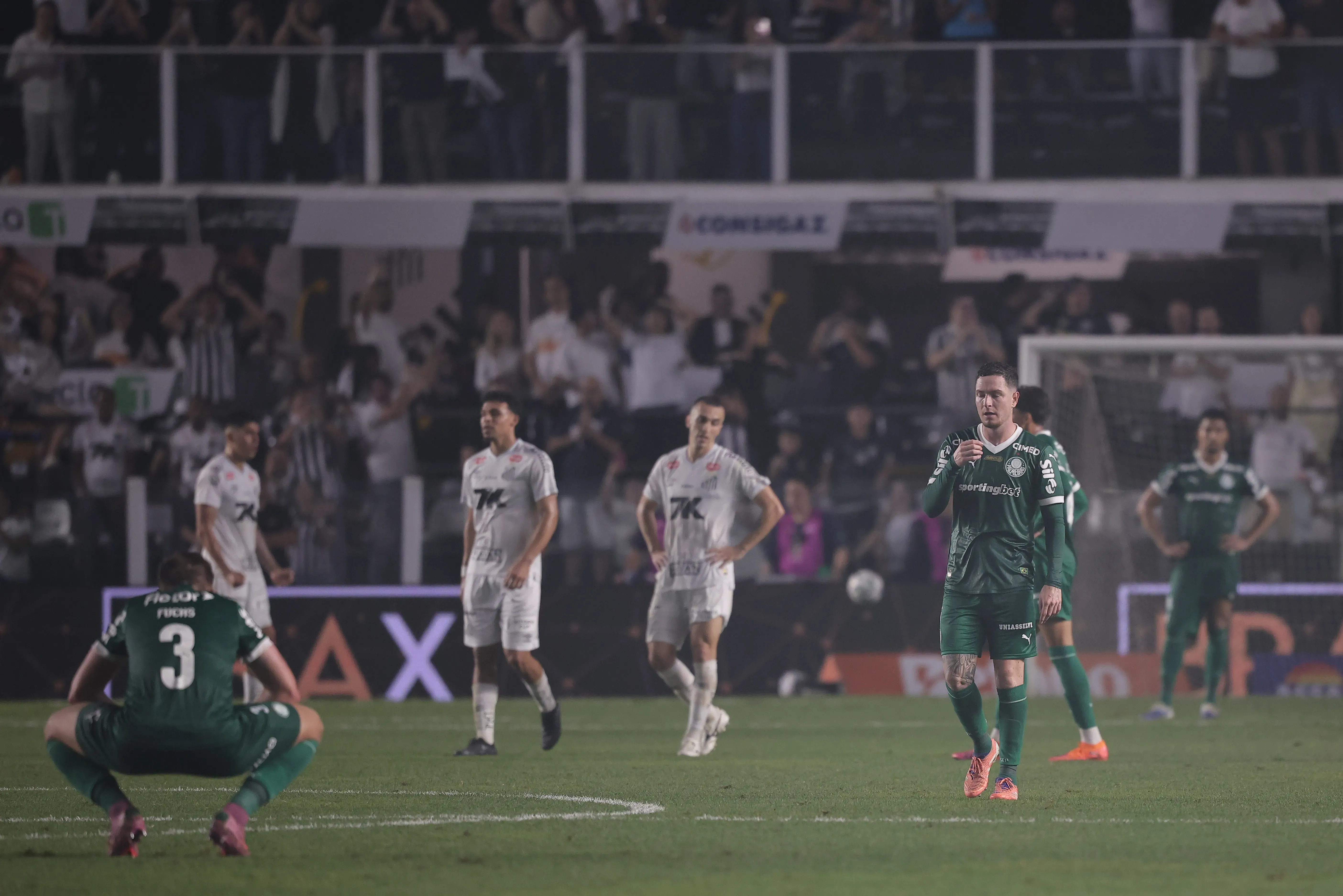 Santos bate o Palmeiras e sair do Z4. Foto: Ettore Chiereguini/AGIF