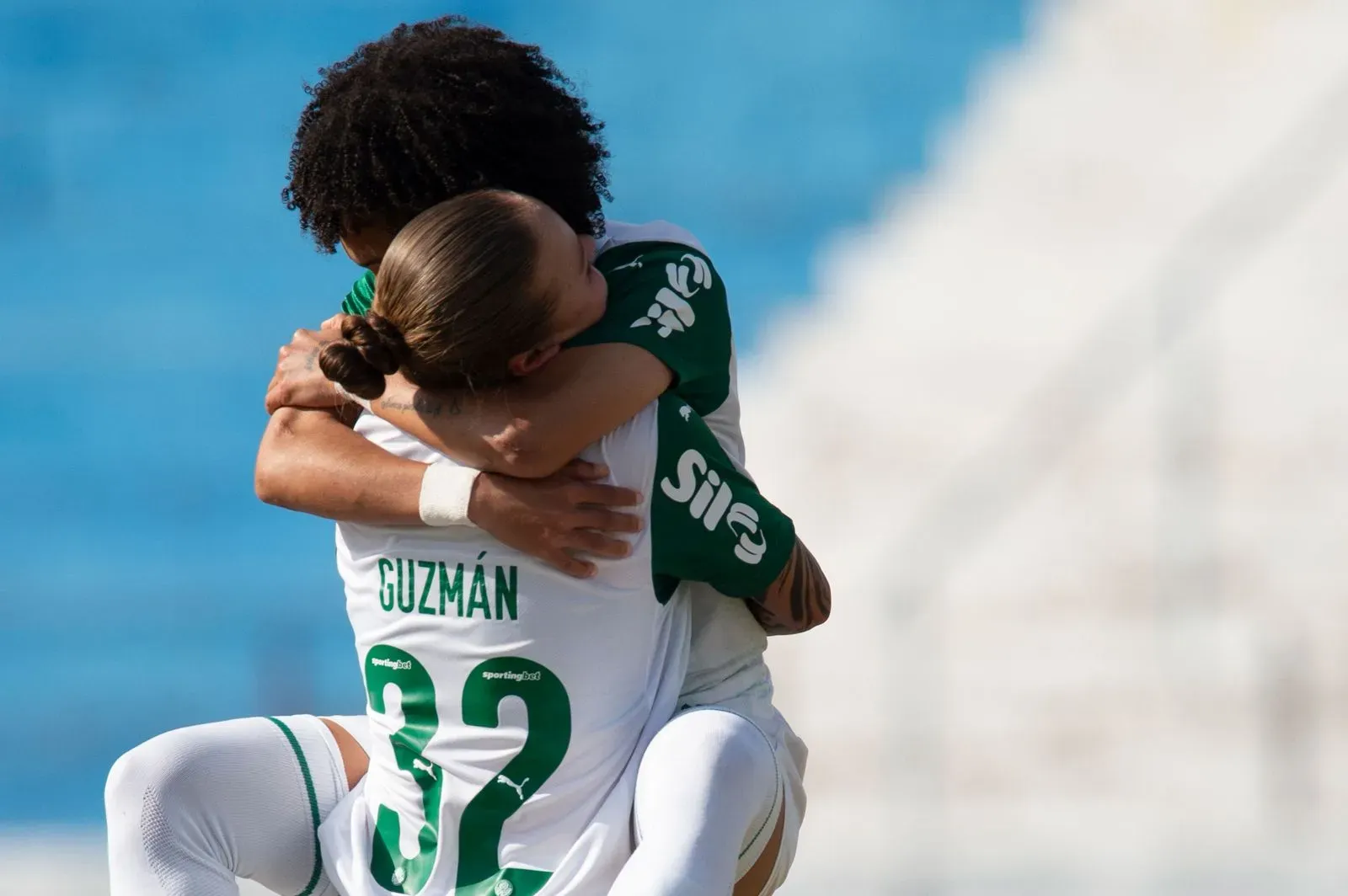 Palestrinas comemoram gol. Foto: Anderson Romão/Ag. Paulistão