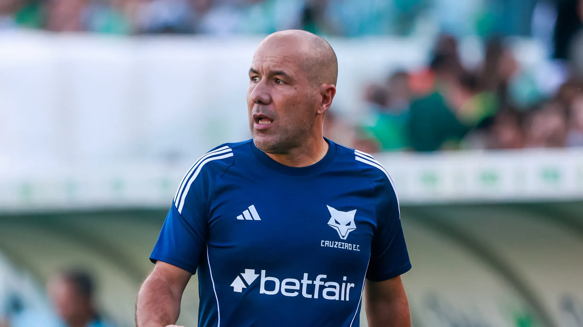 Jardim no Cruzeiro. Foto: Luiz Erbes/AGIF