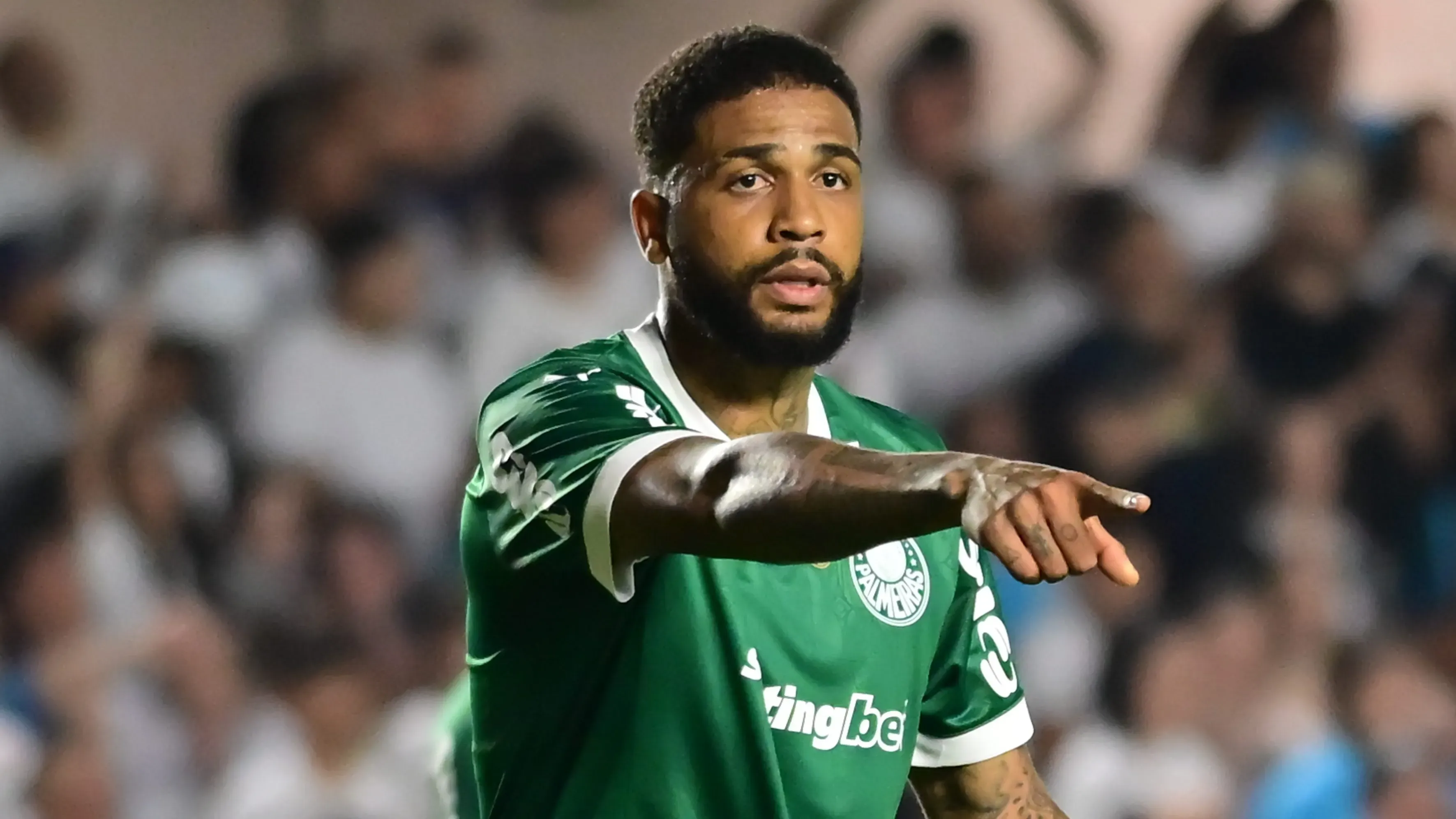 Micael, zagueiro do Palmeiras. Foto: Jota Erre/AGIF