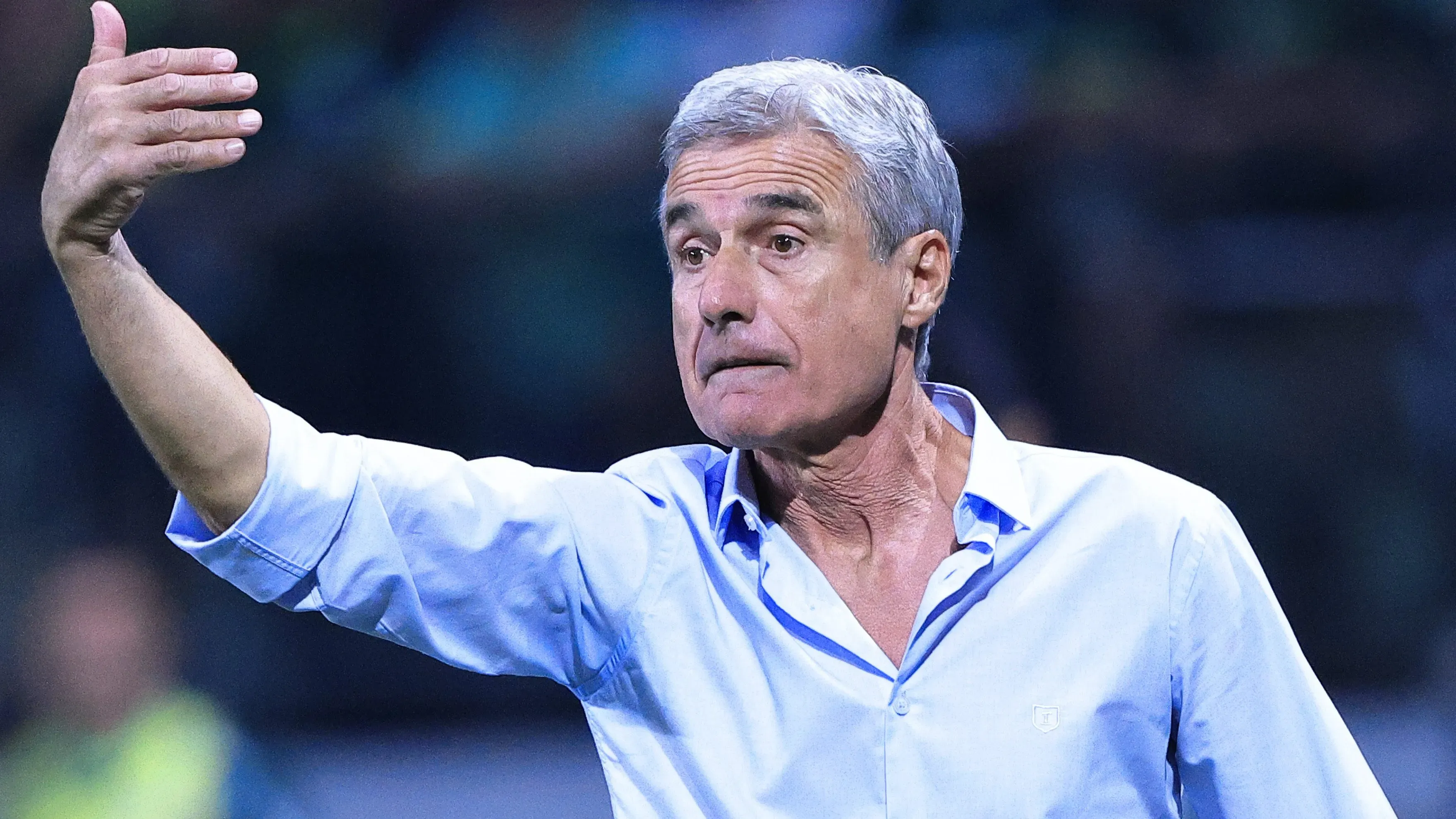 Luís Castro. Foto: Ettore Chiereguini/AGIF