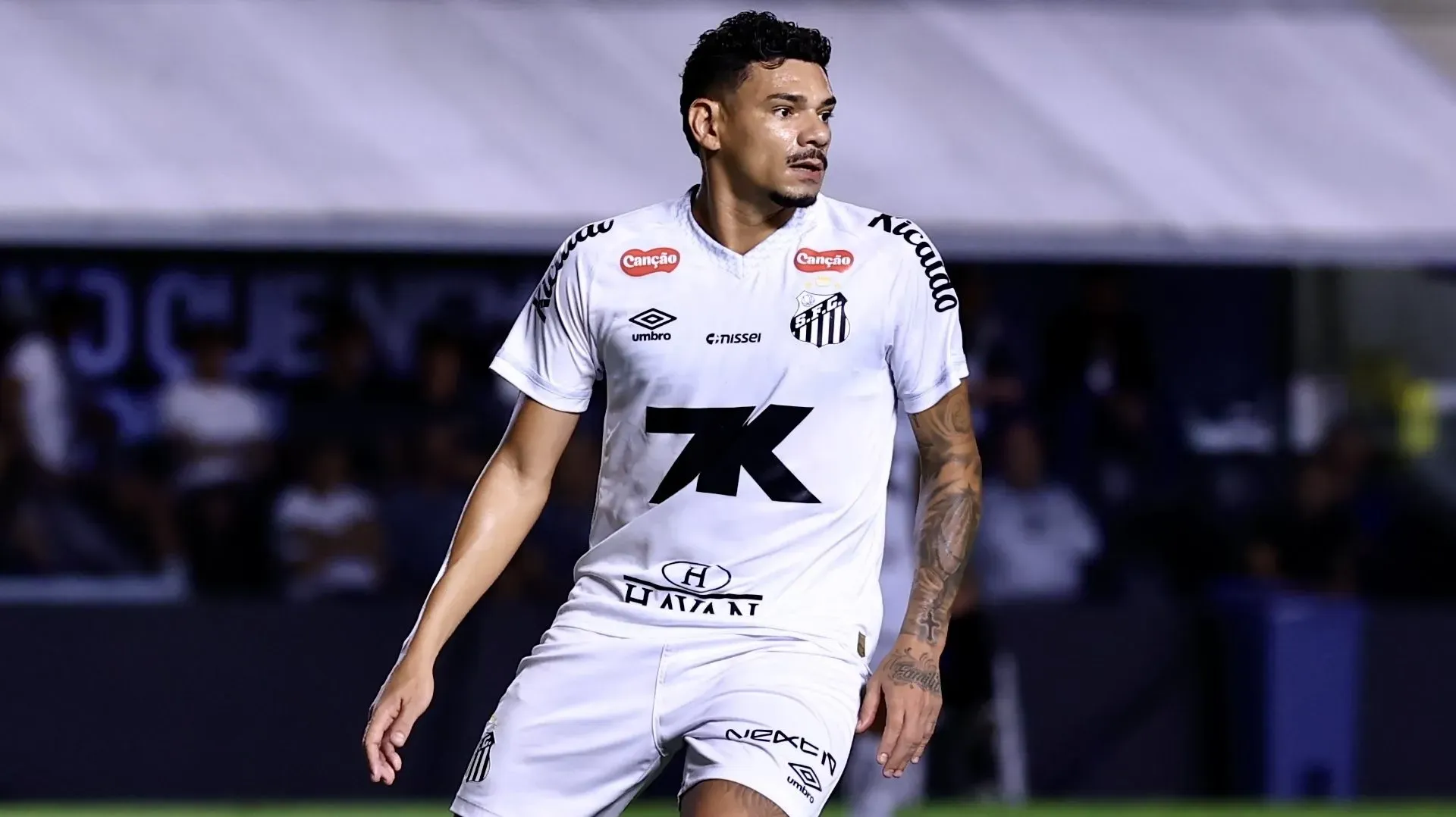 Tiquinho Soares, do Santos