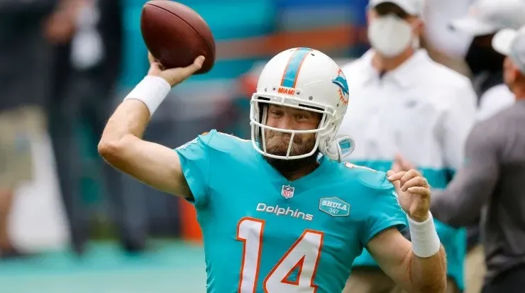 Dolphins’ FitzMagic became more beloved by fans (Getty).