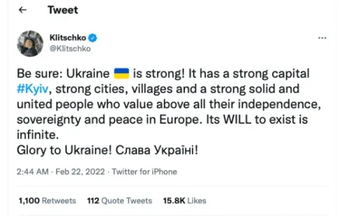 Wladimir Klitschko, Boxing