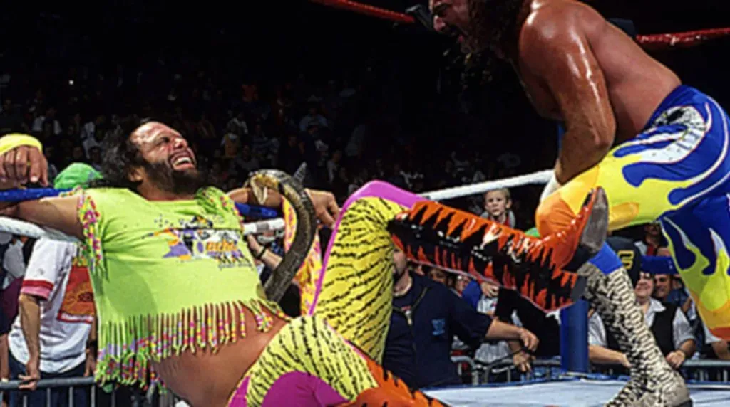 Macho Man Randy Savage vs. Jake the Snake Roberts (WWE)