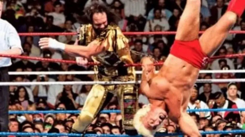 Ric Flair vs. Randy Savage (WWE)