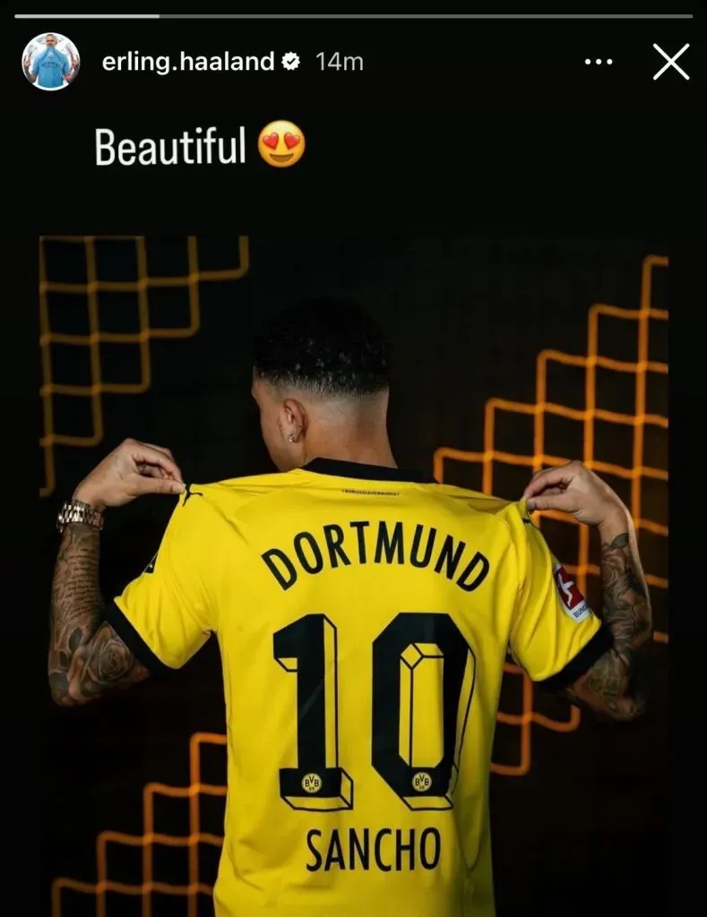 Erling Haaland reacts to Jadon Sancho going to Borussia Dortmund (Instagram/@erling.haaland)