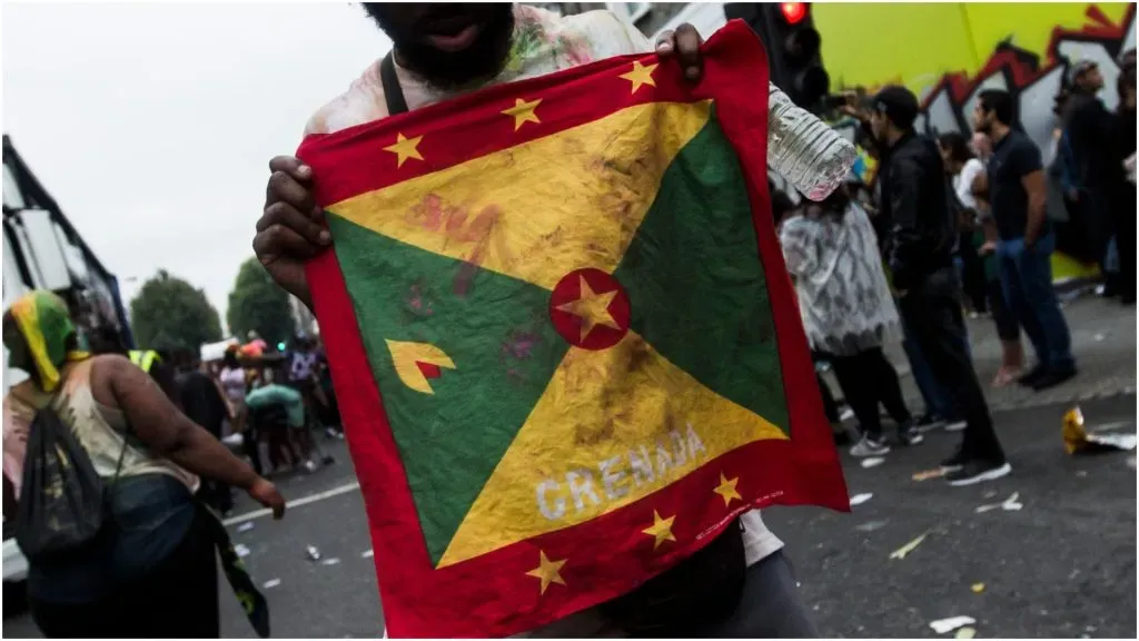 Fan holds a Grenada flag – Daniel C Sims/Getty Images