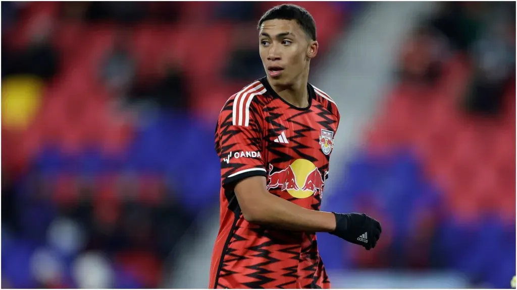 Julian Hall of New York Red Bulls – Adam Hunger/Getty Images