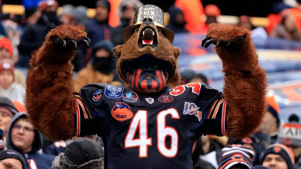 Chicago Bears fan (Source: Justin Casterline/Getty Images)