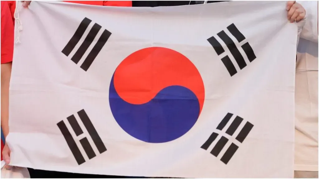 Fans hold the South Korean flag – Patrick McDermott/Getty Images