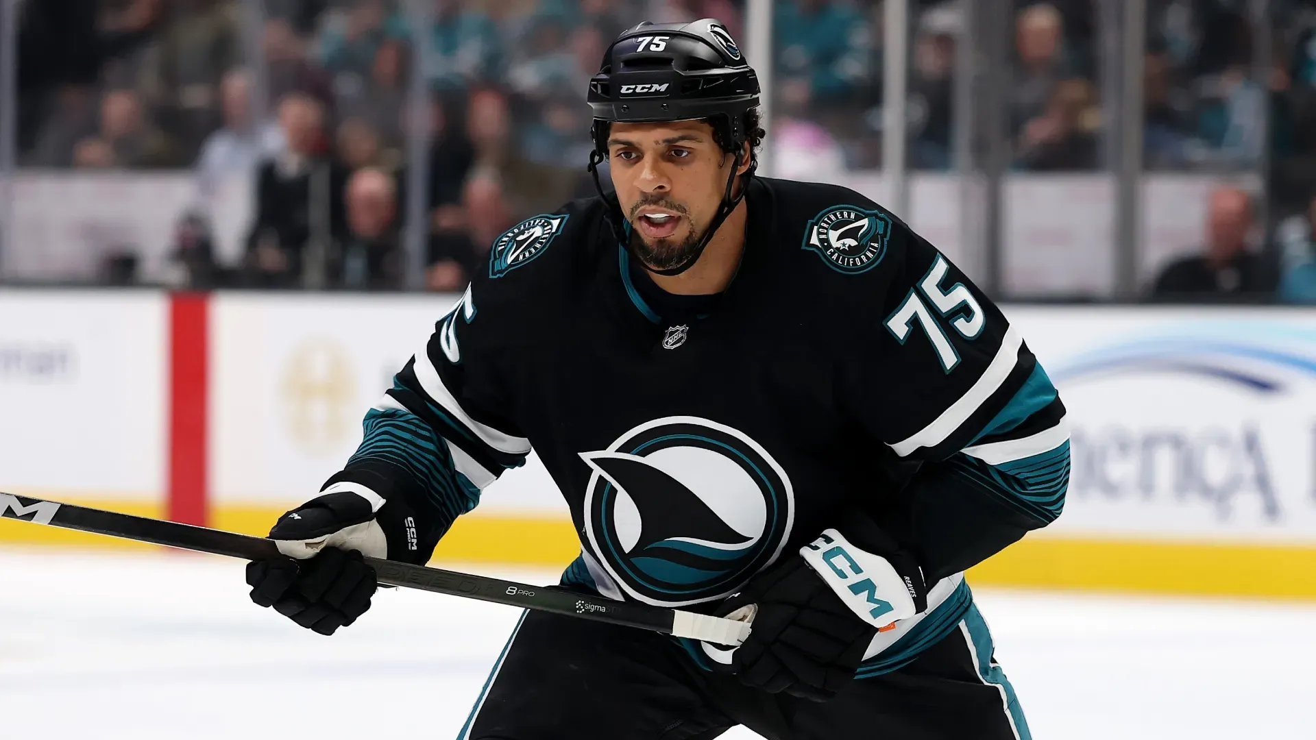 Ryan Reaves playing for the San Jose Sharks