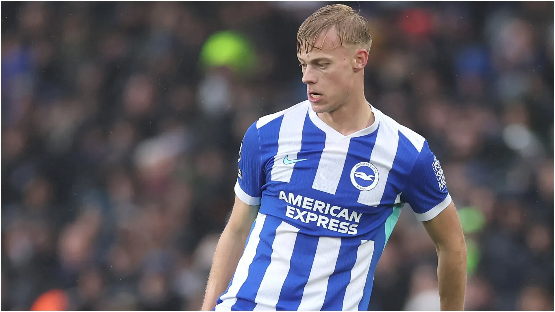 Jan Paul van Hecke of Brighton & Hove – Warren Little/Getty Images