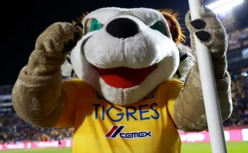 Una de las mascotas más queridas en México.