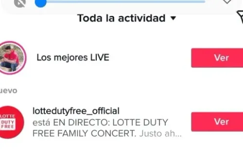 Fuente: Lotty Duty TikTok oficial