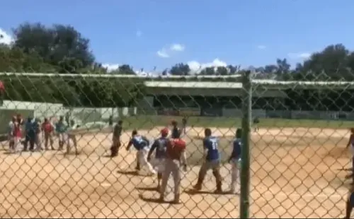 Pelotero le da batazos a un árbitro