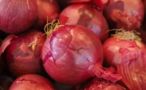 Cebollas. Fuente: (Pixabay)