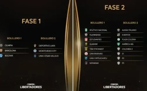 Fuente: Twitter Oficial Copa Libertadores (@Libertadores)