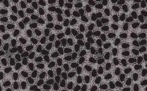 Fuente: Noticieros Televisa