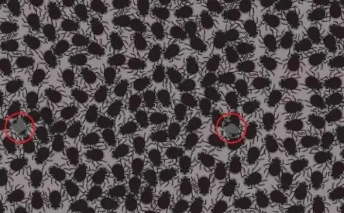 Fuente: Noticieros Televisa