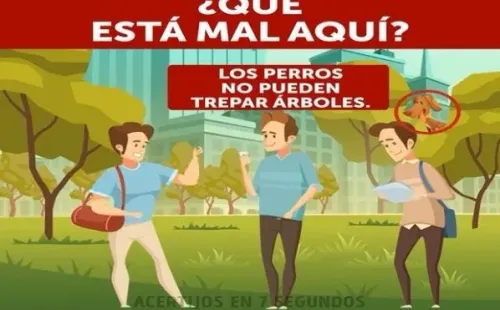 Fuente: Acertijos en 7 segundos