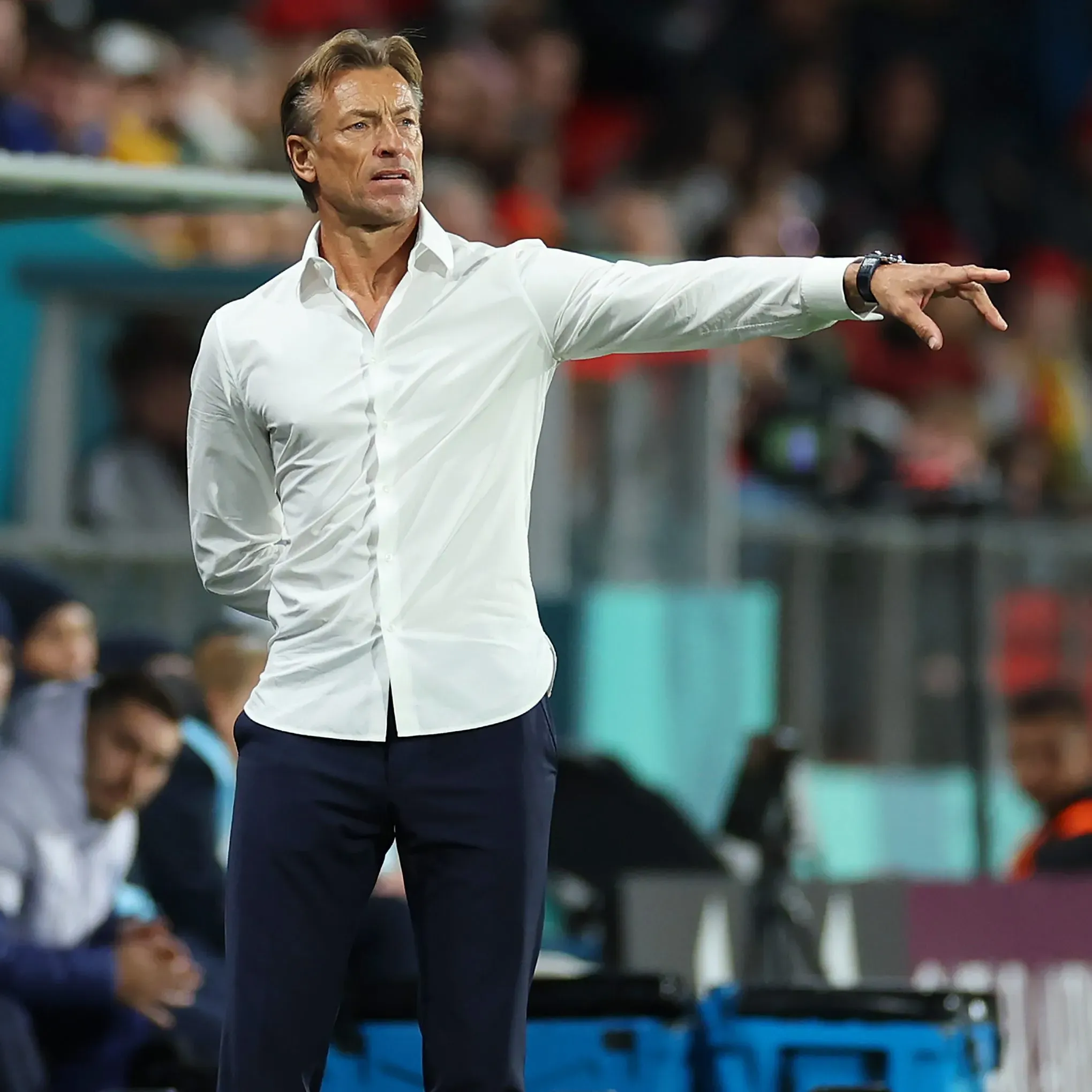 ADELAIDE, AUSTRALIA – AUGUST 08: Herve Renard, Head Coach of France, reacts during the FIFA Women’s World Cup Australia & New Zealand 2023 Round of 16 match between France and Morocco at Hindmarsh Stadium on August 08, 2023 in Adelaide, Australia. (Photo by Cameron Spencer/Getty Images )