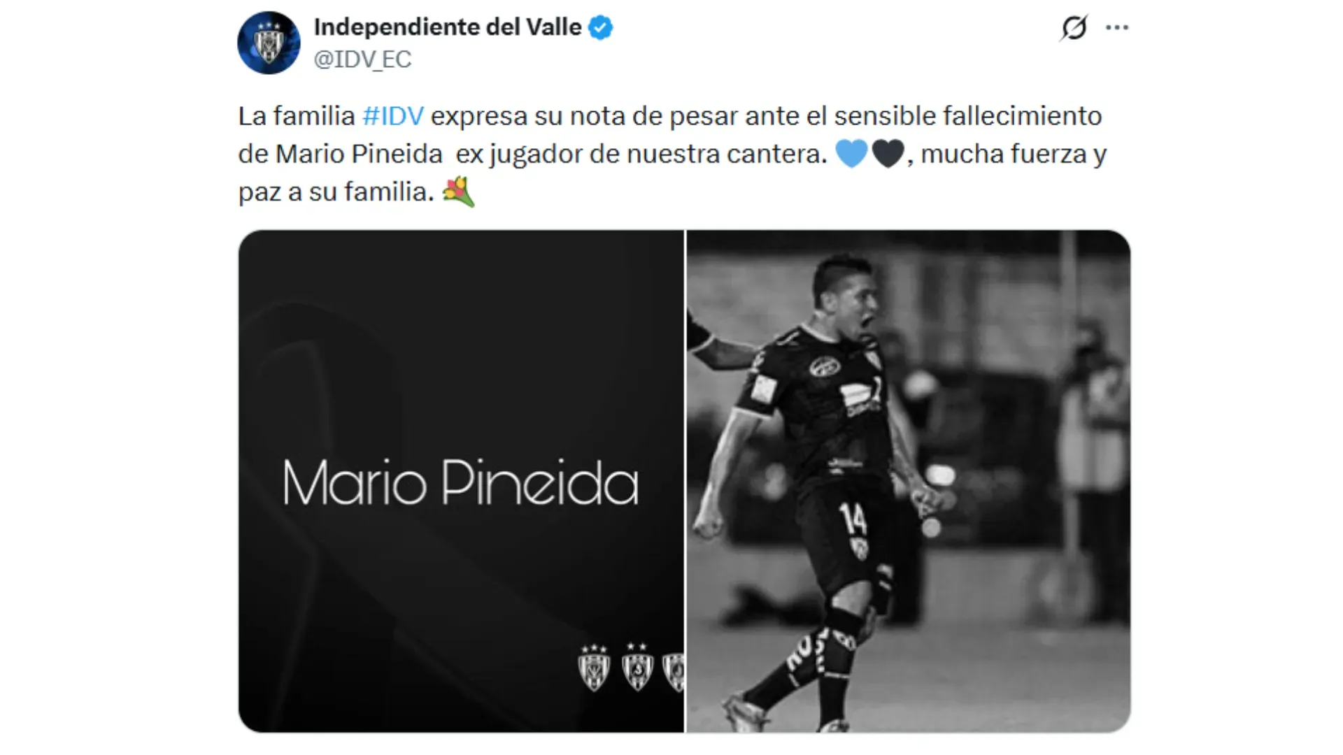 IDV recordó que Pineida hizo las formativas en su club.