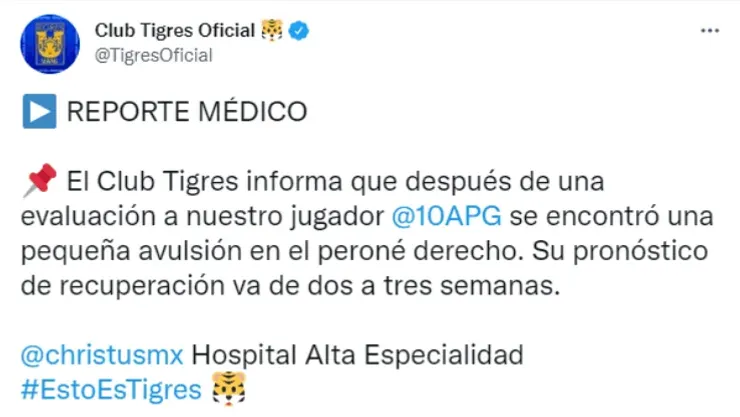 Parte médico Tigres UANL - André-Pierre Gignac