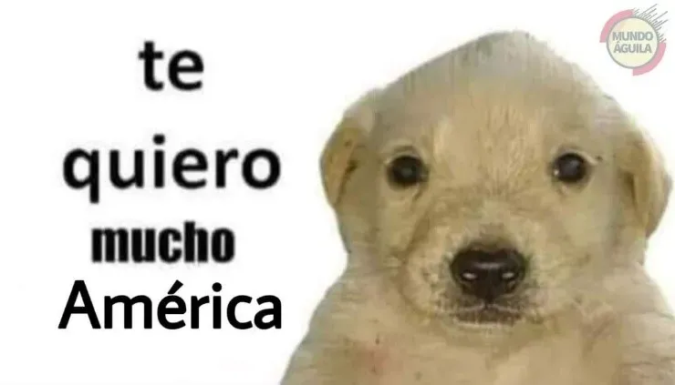 Meme América vs. Xolos