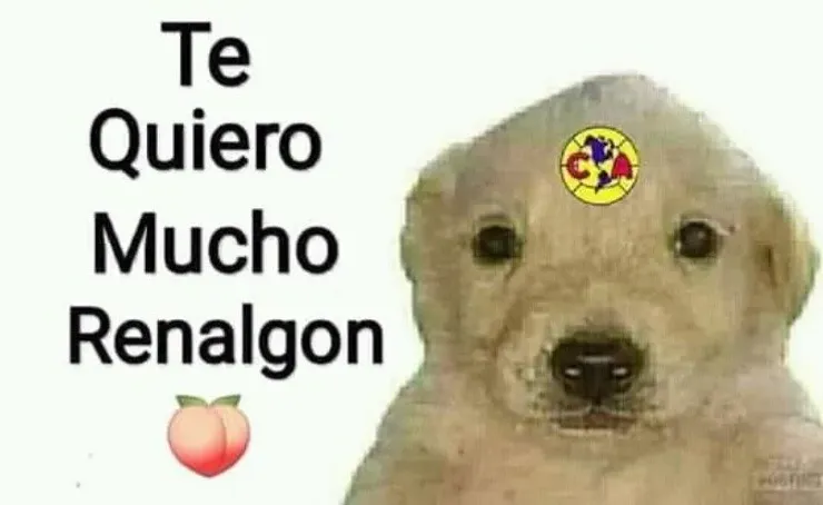 Meme América vs. Xolos