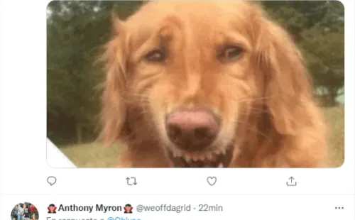 Gol de Ginac Tigres 1-0 Chivas Liga MX