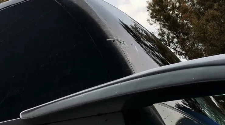 Twitter: Universal Deportes