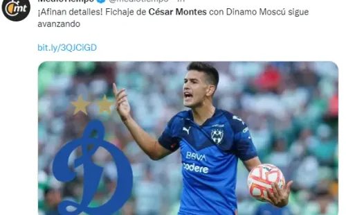 Cachorro se acercaría a Rusia. (@mediotiempo)