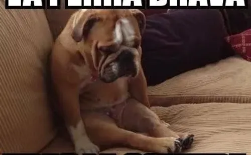 Memes del Toluca – Pachuca.