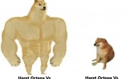 Memes del Toluca – Pachuca.