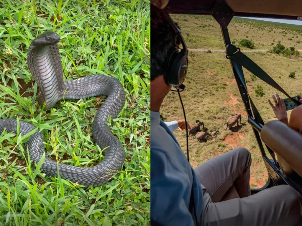 Captura de las historias de Checo Pérez en Instagram