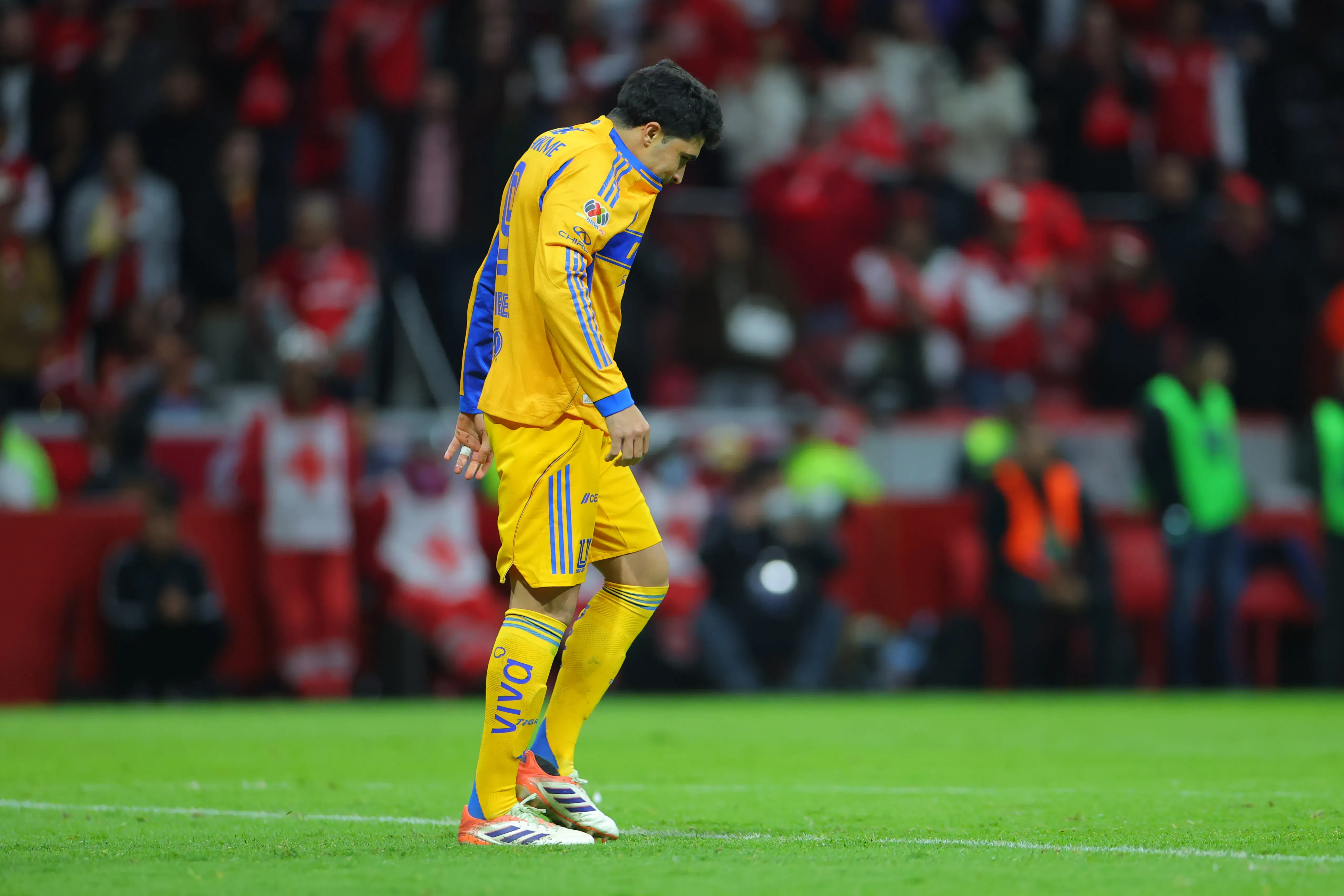 Nicolás Ibáñez podría no seguir en Tigres (Getty Images)