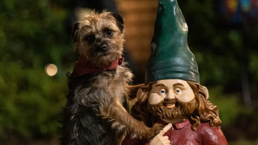 Will Ferrell in Strays. (Source: IMDb)