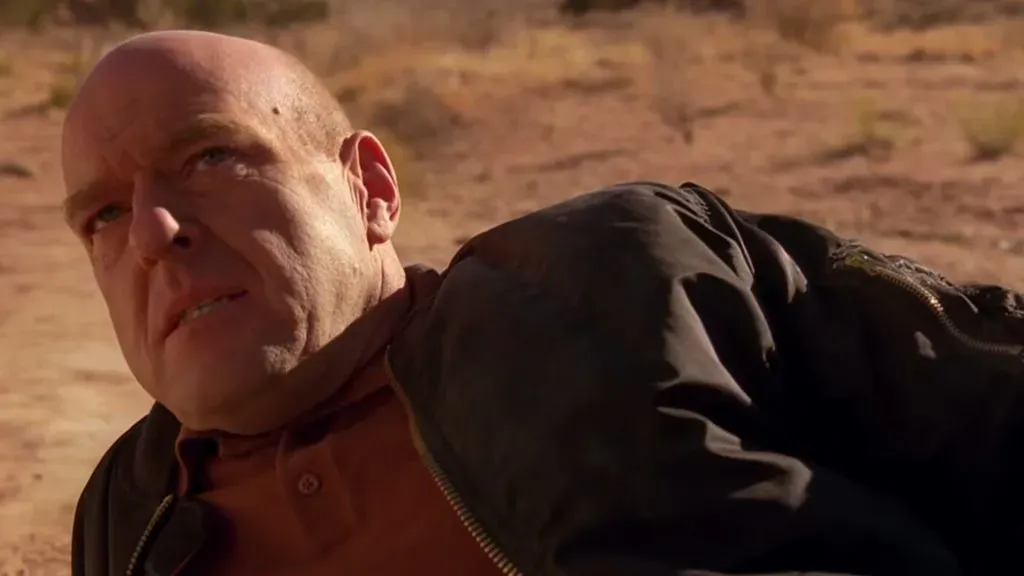 Dean Norris in “Breaking Bad” (Source: IMDb)
