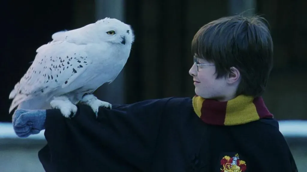 (Source: IMDb)