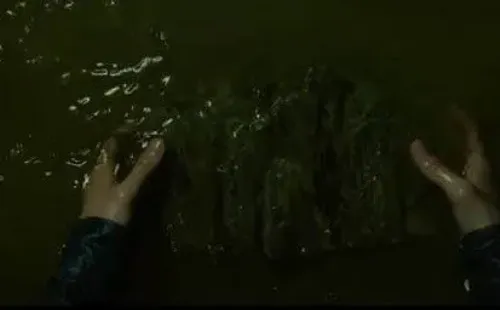 La piedra que flota durante la película ‘Parasite’.