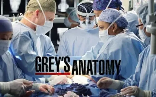 Grey’s Anatomy tendrá una temporada 17 vibrante. Foto: ABC