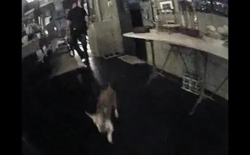 Johnny Depp y Amber Heard