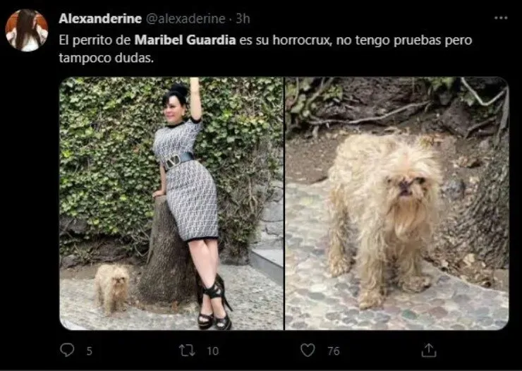 (Twitter: @alexandrine)