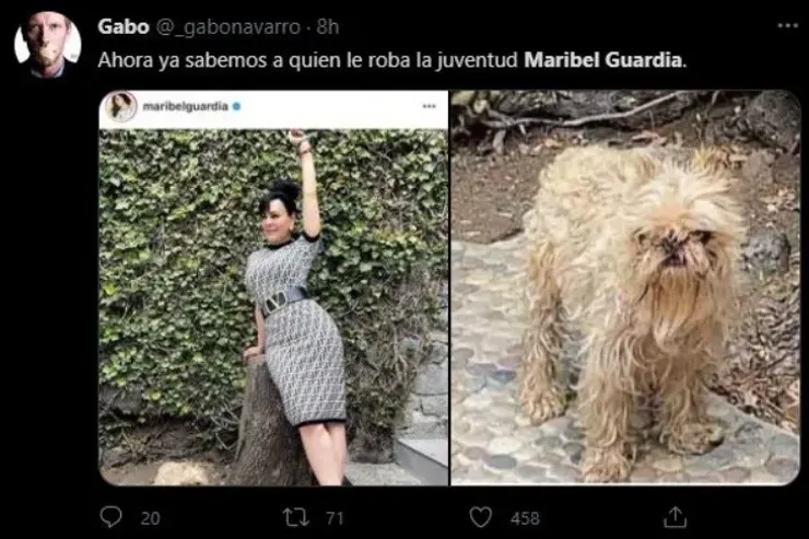 (Twitter: @elgabonavarro)