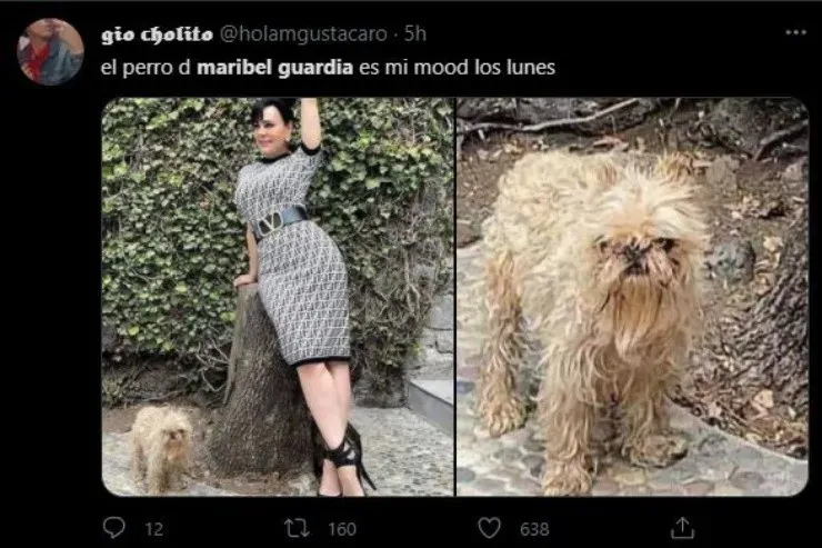 (Twitter: @holamgustacaro)